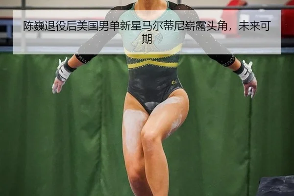 chen-wei-tui-yi-hou-mei-guo-nan-dan-xin-xing-ma-er-di-ni-zhan-lu-tou-jiao-wei-lai-ke-qi-2-334.jpg